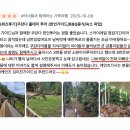 주식회사엄지 | 케언즈 여행 일정 추천 : 그레이트 베리어 리프 스노쿨링 + 쿠란다 투어 코스 후기