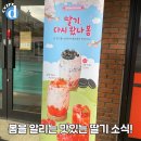 아마스빈 이미지