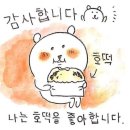 법원호떡