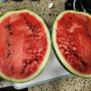 우곡그린복합영농조합법인 이미지