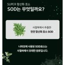 (주)플러스랩에스 이미지