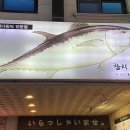 참치일번지 이미지