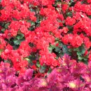 런던파크 이미지