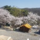 초록숲민박