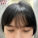 줄리오헤어 이미지