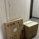코코래빗안심점 | 블루래빗 토이북 풀세트 l 우리아기방을 가득 채운 감동의 첫 만남
