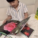이화전집 | 6세전집 유아자연관찰책 키즈에이원 자연이알쏭 후기