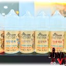 스팀팩토리 네이버블로그