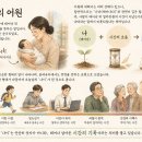 5월1일 공학여지도117 : 나이 이미지