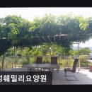 훼밀리 | [김포 요양원/추천/후기/가격] 삼성훼밀리요양원 김포 삼성훼밀리요양원, 전문 케어 서비스 제공