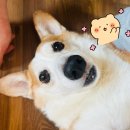 묵실 이미지