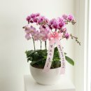 내당2.3동행정복지센터 이미지