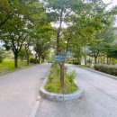 5호화장실(수선화화장실) 이미지