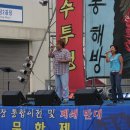 그루터기 이미지