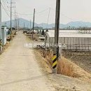 순천도사초등학교 티스토리