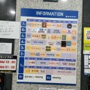 댕댕월드&퍼피 이미지