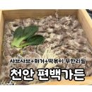 푸른신방의원 | 신방통정지구 맛집 천안 편백가든 내돈내산