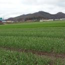 수하농장 이미지