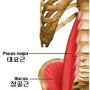 범피티 이미지