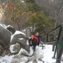 사일구 이미지