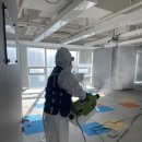창조방역