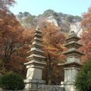 용성초교 이미지