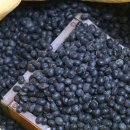 먹자푸드 이미지