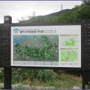 선암골생태유람길 이미지