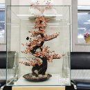 광양읍사무소 민원실 이미지