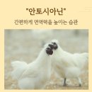 백봉춘천농장 이미지