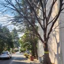 배은휘공인중개사사무소 이미지