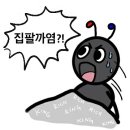 해염 이미지