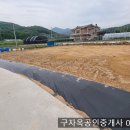 강화읍 생활권의 강화읍 국화리 145평 ,1억1600만원,강화읍토지 이미지