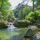 담소쉼터민박 | 🌊 성주 포천계곡, 조선 선비들의 이상향에서 즐기는 시원한 힐링 여행 🍃