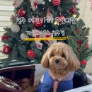 개스트하우스 청주점 이미지