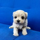 서원동-50 이미지