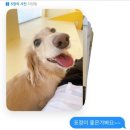 단짝멍몽 이미지