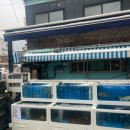 사가정로51길 (20) 이미지