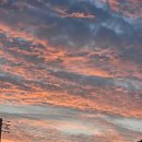 윤정목장 이미지