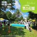 펫스티벌 Daum카페