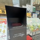 요미우돈교자마곡 | 강남 우동 교자 맛집 [요미우돈교자 강남점] 후기