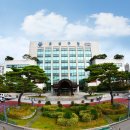 도안동로 이미지