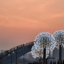 강북행정사사무소 이미지