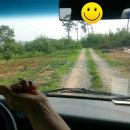 장동농장 이미지