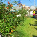 숲사랑유치원 이미지