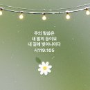 행복을주는의료기 | 한일의료기 게르마늄세라믹찜질매트
