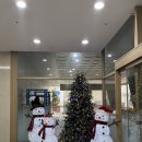 오클라우드 호텔 | [강남 신논현역 도보3분 위치좋은 가성비 호텔 1박 후기 : 오클라우드 호텔 강남] 디럭스 트윈룸 주말