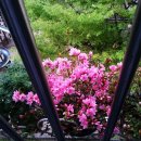 기리시마 이미지