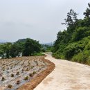 청호가든 이미지