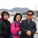 금포초등 이미지